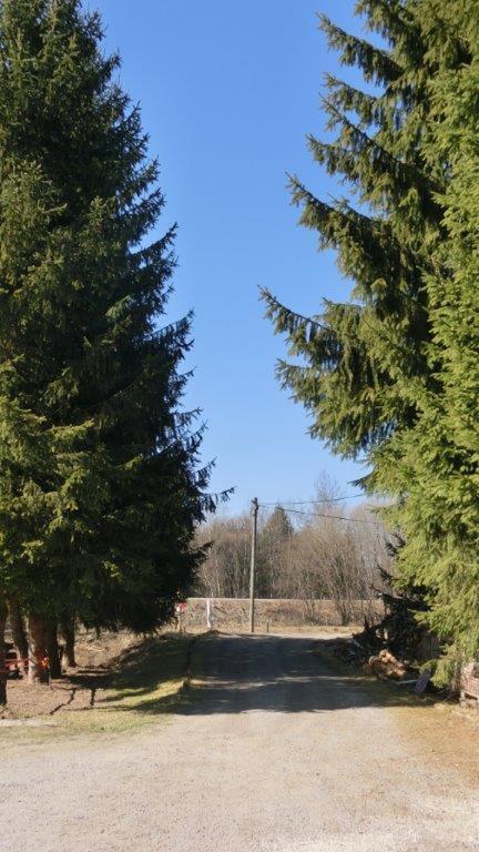 Pension Fohlenhof Фрауенау Екстериор снимка